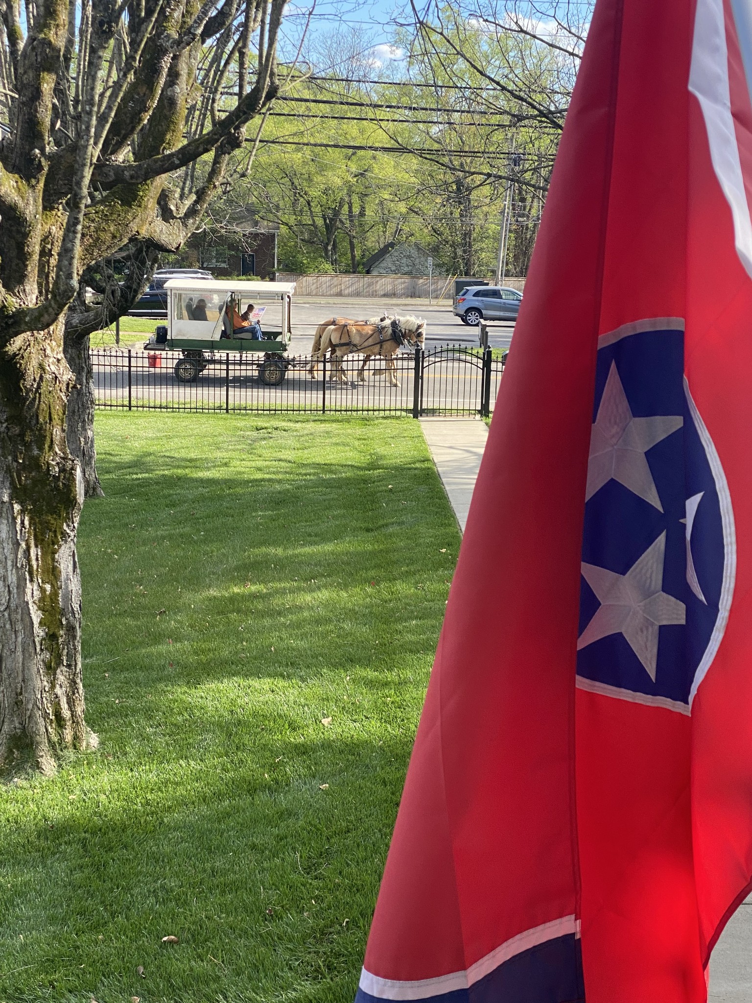 706 West 7th Street Columbia, TN 38401 - Photo 51 of 52 a view of a yard with a patio