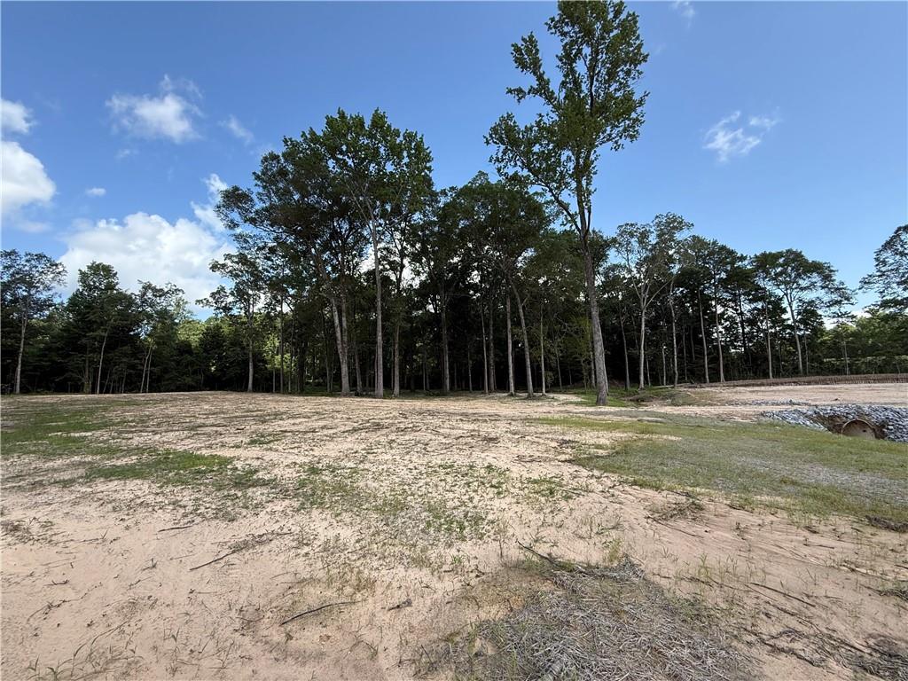 993 Paradise Road Ball, LA 71405 - Photo 11 of 17