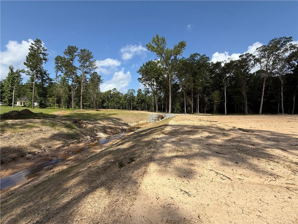 993 Paradise Road Ball, LA 71405 - Photo 6 of 17