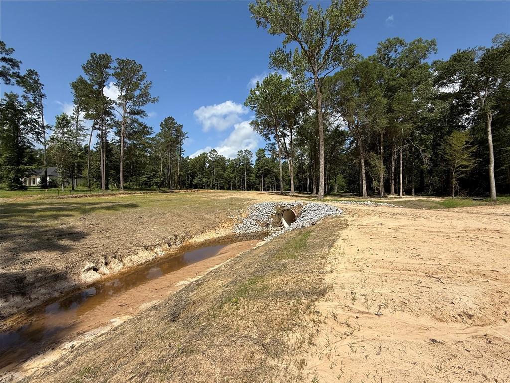 993 Paradise Road Ball, LA 71405 - Photo 7 of 17