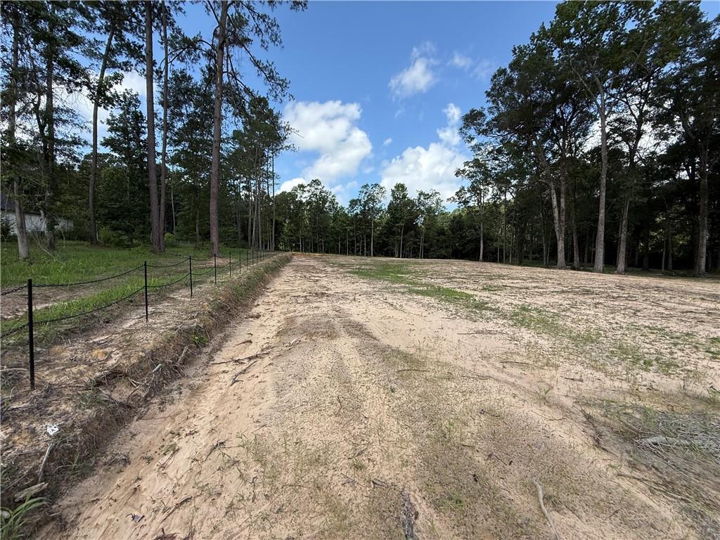 993 Paradise Road Ball, LA 71405 - Photo 10 of 17