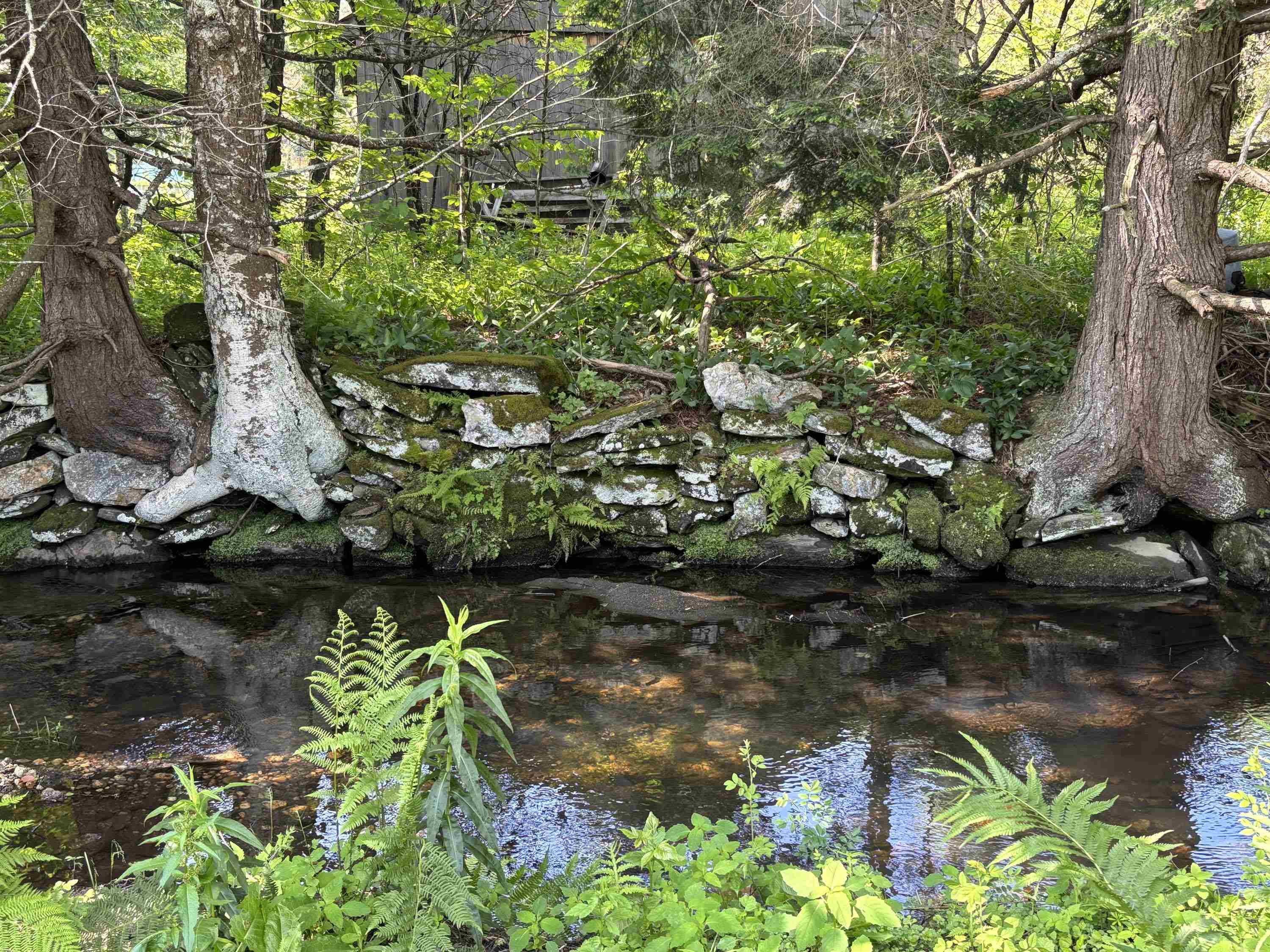 3523 Westminster W Road Westminster, VT 05346 - Photo 51 of 56