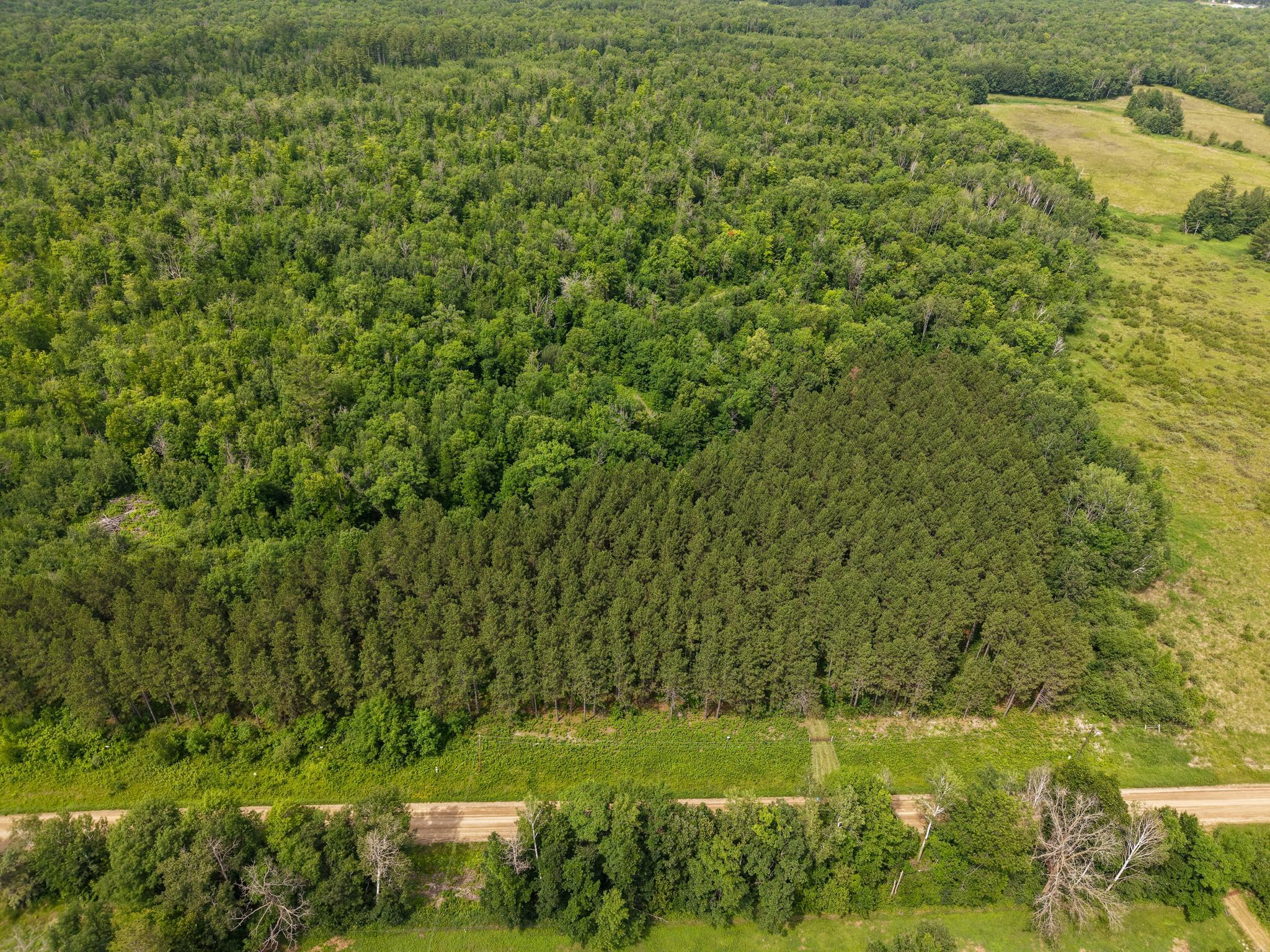 80-acres Pike Bay Loop Road Northwest Cass Lake, MN 56633 - Photo 5 of 27