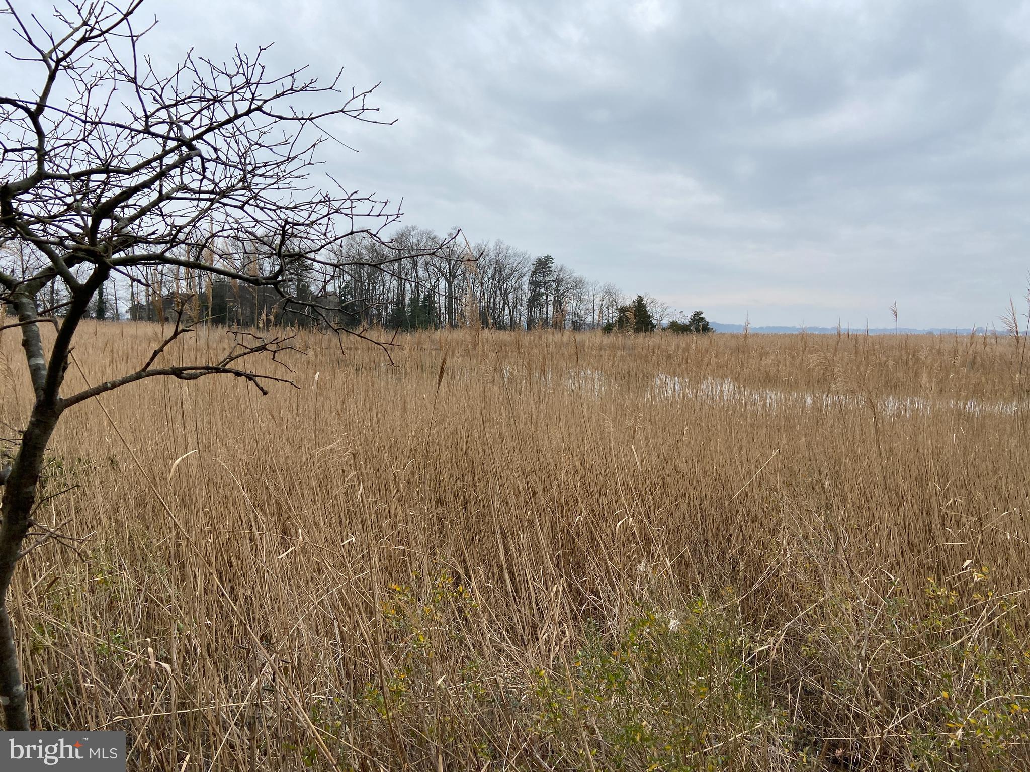 3450 Hidden River View Road Annapolis, MD 21403 - Photo 8 of 18 Gallery Image 8