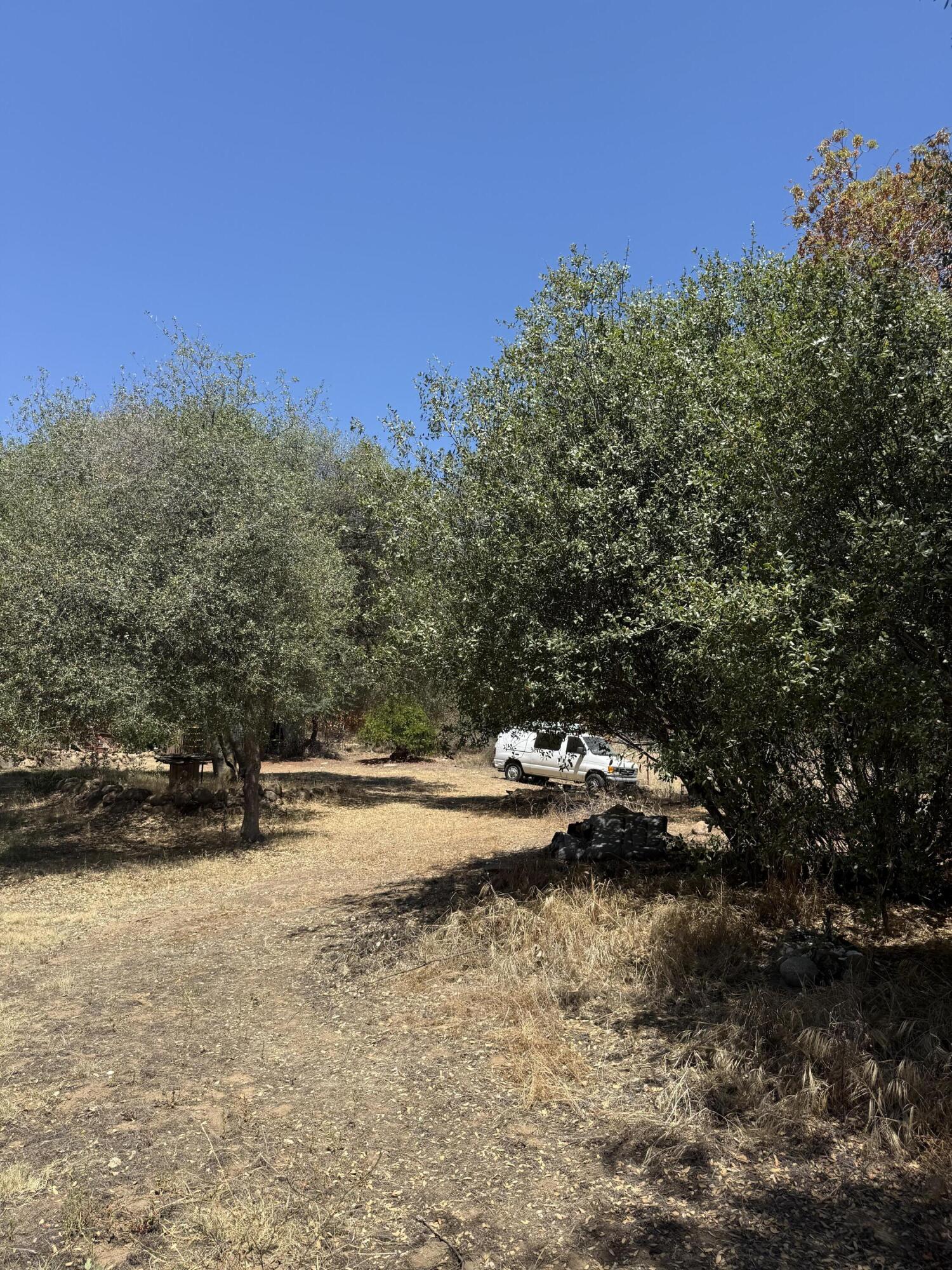 40831 Balch Park Road, Unit D Springville, CA 93265 - Photo 9 of 22 IMG_20260730_174029