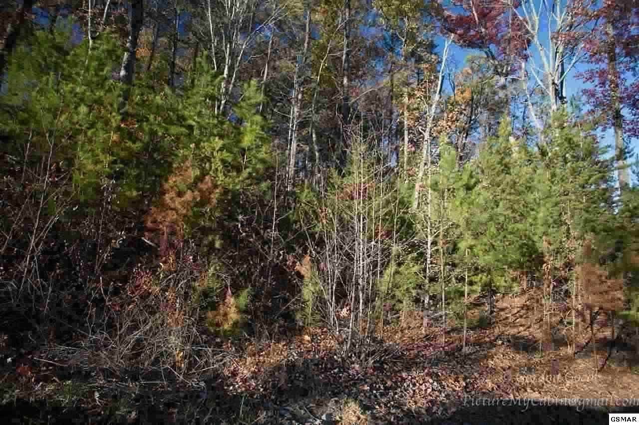 152 Bear Valley Road Sevierville, TN 37876 - Photo 1 of 1