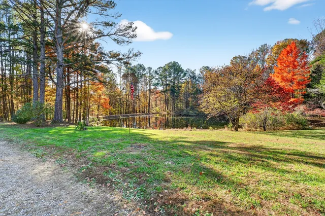a view of a yard with an trees