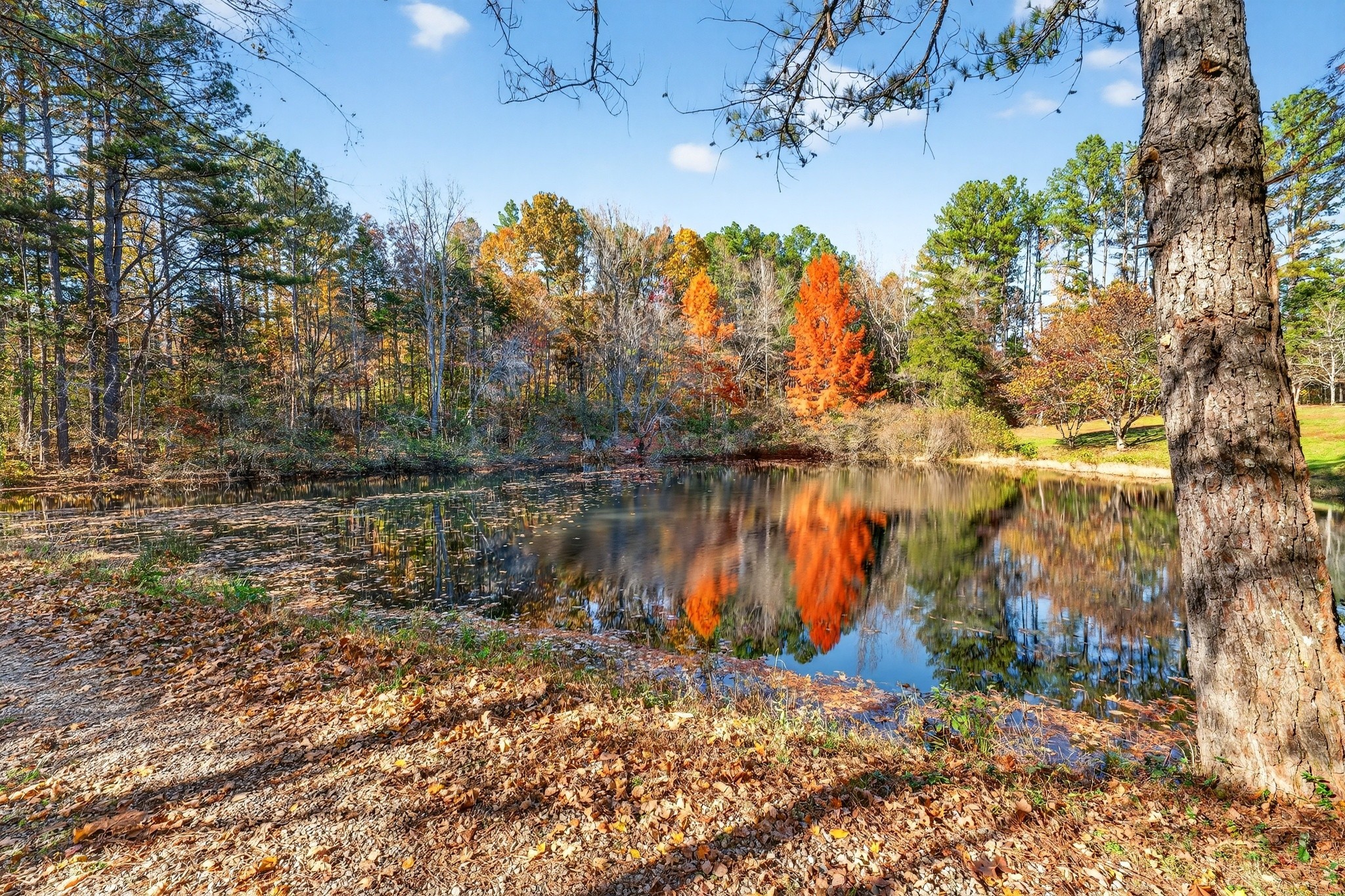 2243 Bear Camp Road Centerville, TN 37033 - Photo 40 of 40