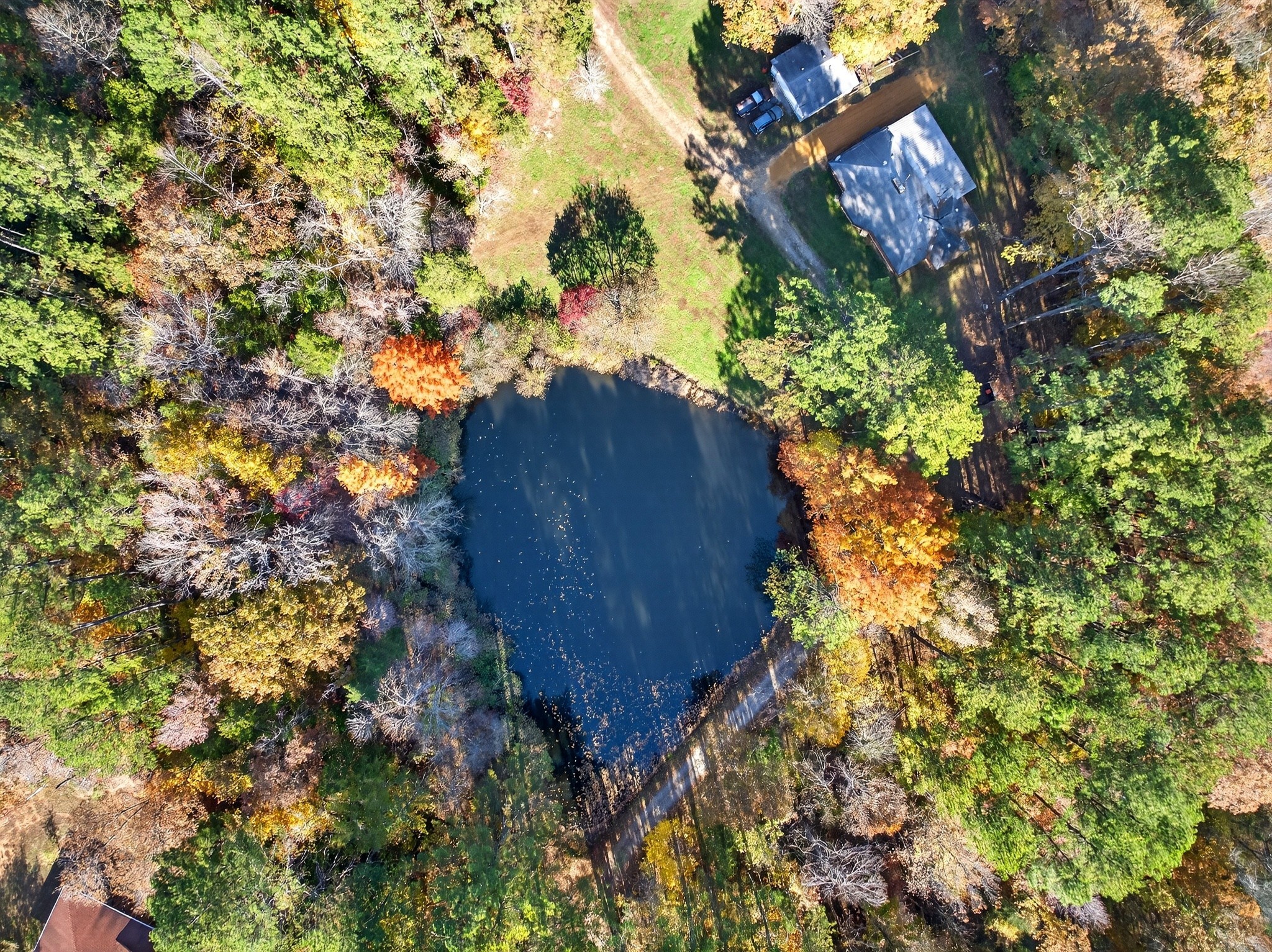 2243 Bear Camp Road Centerville, TN 37033 - Photo 4 of 40