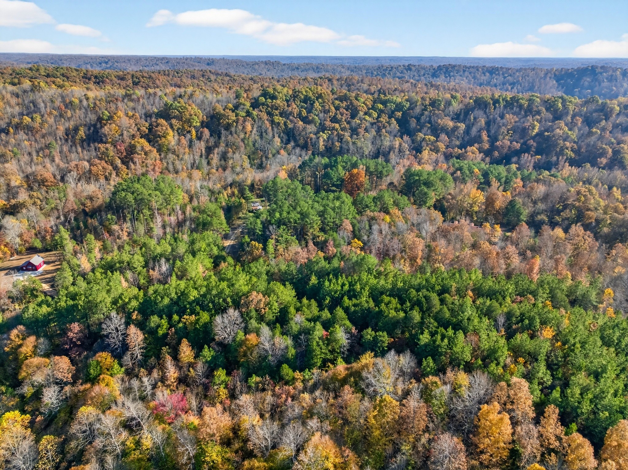 2243 Bear Camp Road Centerville, TN 37033 - Photo 8 of 40