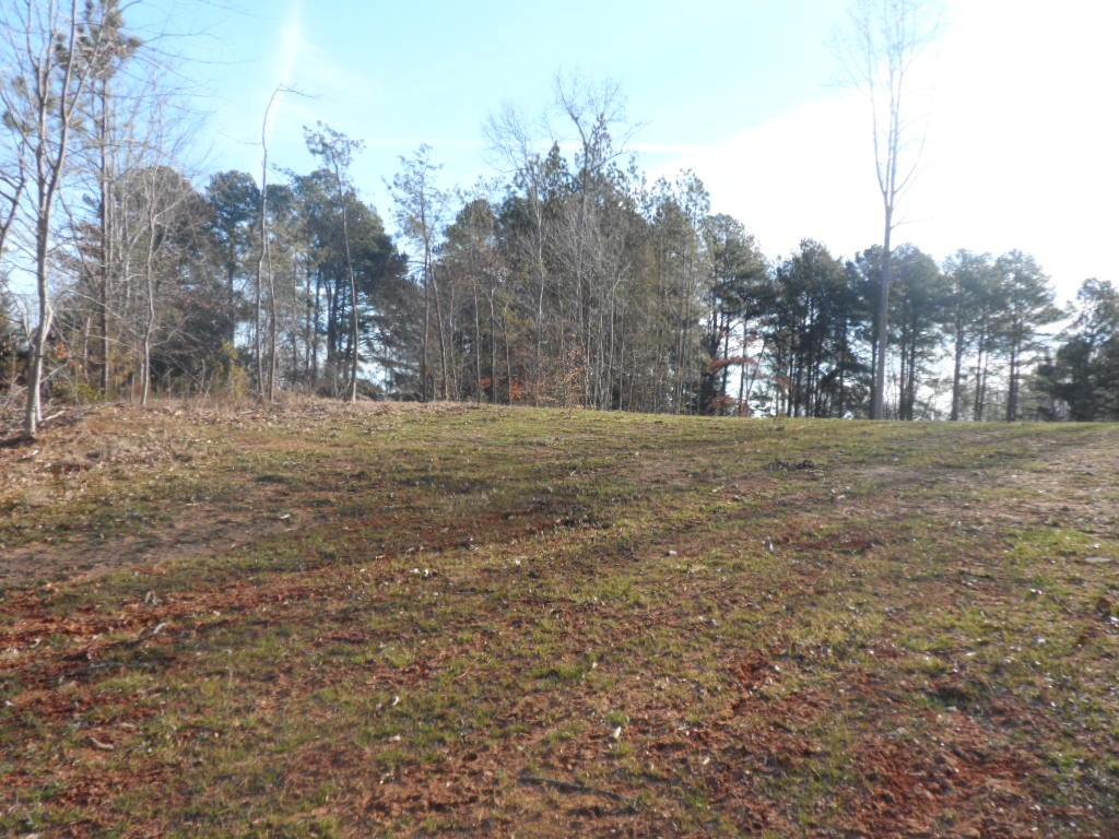 Lot A-3 Lot A-3 Maughan Trail/mallard Bend Road Seneca, SC 29672 - Photo 11 of 21
