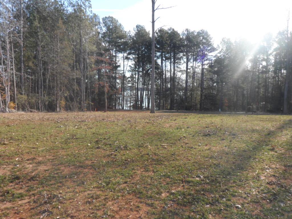 Lot A-3 Lot A-3 Maughan Trail/mallard Bend Road Seneca, SC 29672 - Photo 12 of 21