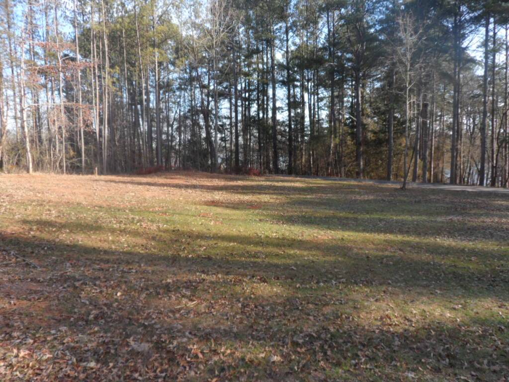 Lot A-3 Lot A-3 Maughan Trail/mallard Bend Road Seneca, SC 29672 - Photo 3 of 21