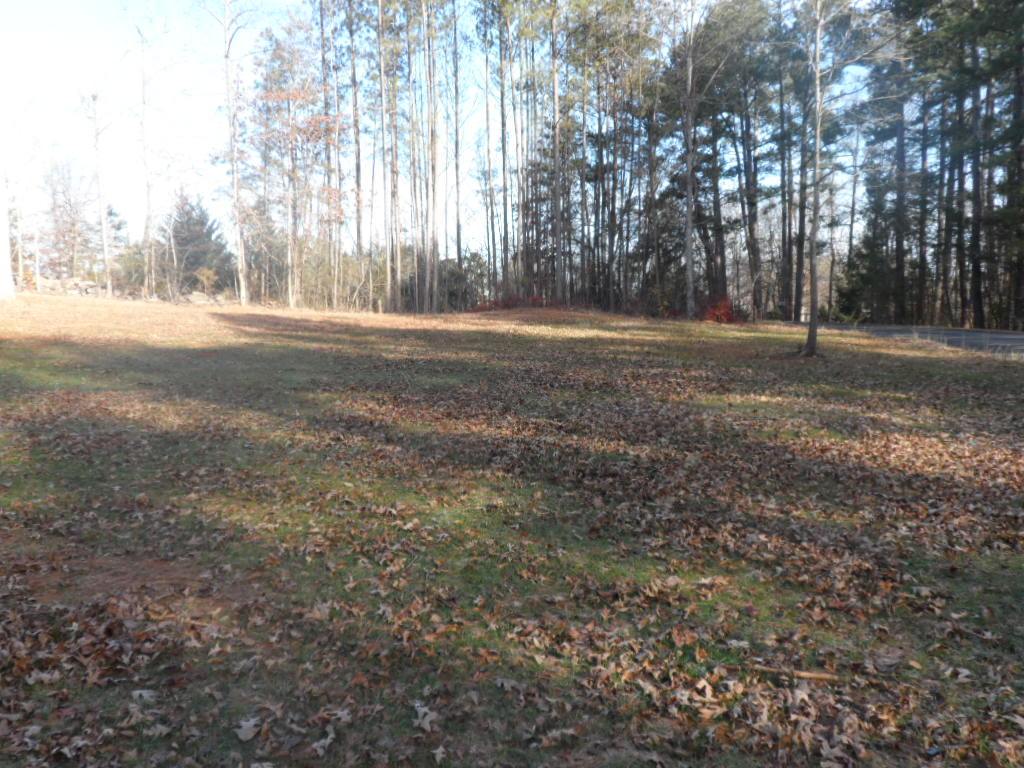 Lot A-3 Lot A-3 Maughan Trail/mallard Bend Road Seneca, SC 29672 - Photo 4 of 21
