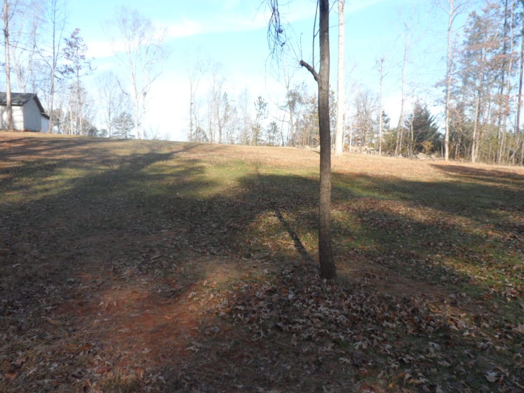 Lot A-3 Lot A-3 Maughan Trail/mallard Bend Road Seneca, SC 29672 - Photo 5 of 21