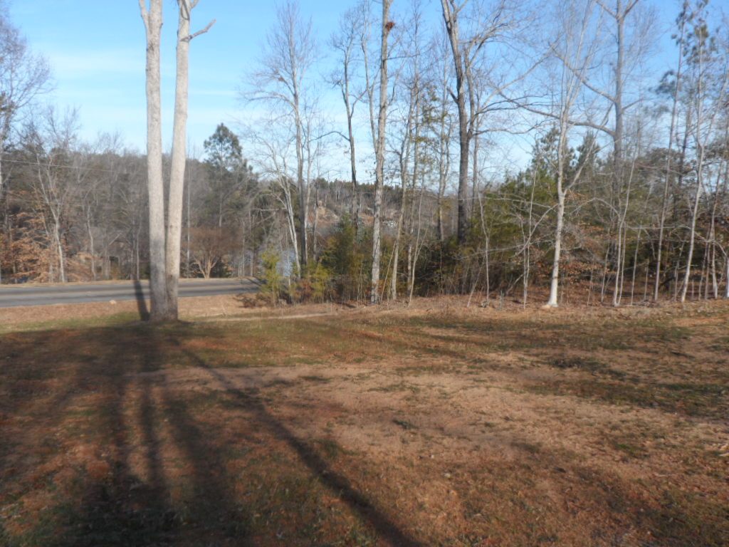 Lot A-3 Lot A-3 Maughan Trail/mallard Bend Road Seneca, SC 29672 - Photo 7 of 21