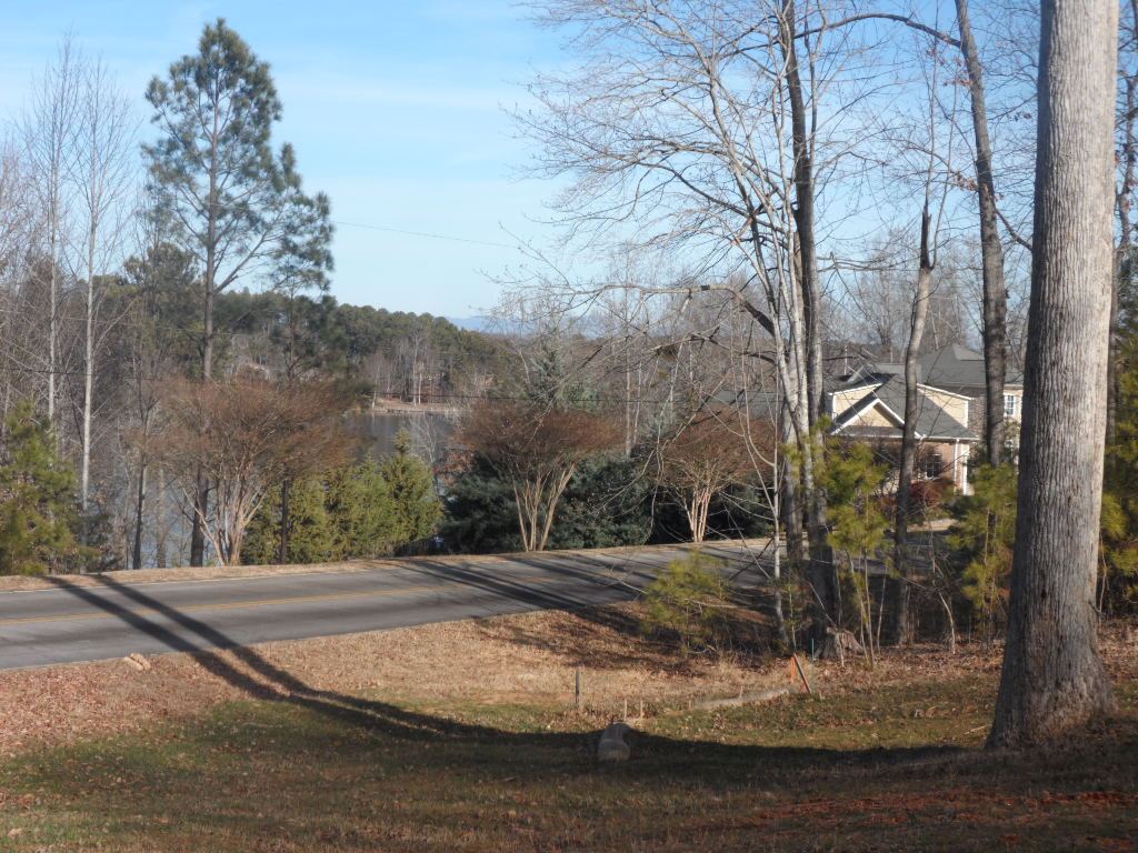 Lot A-3 Lot A-3 Maughan Trail/mallard Bend Road Seneca, SC 29672 - Photo 8 of 21