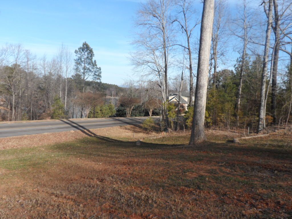 Lot A-3 Lot A-3 Maughan Trail/mallard Bend Road Seneca, SC 29672 - Photo 9 of 21