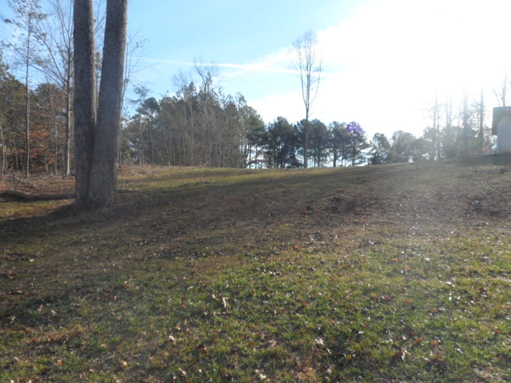 Lot A-3 Lot A-3 Maughan Trail/mallard Bend Road Seneca, SC 29672 - Photo 10 of 21