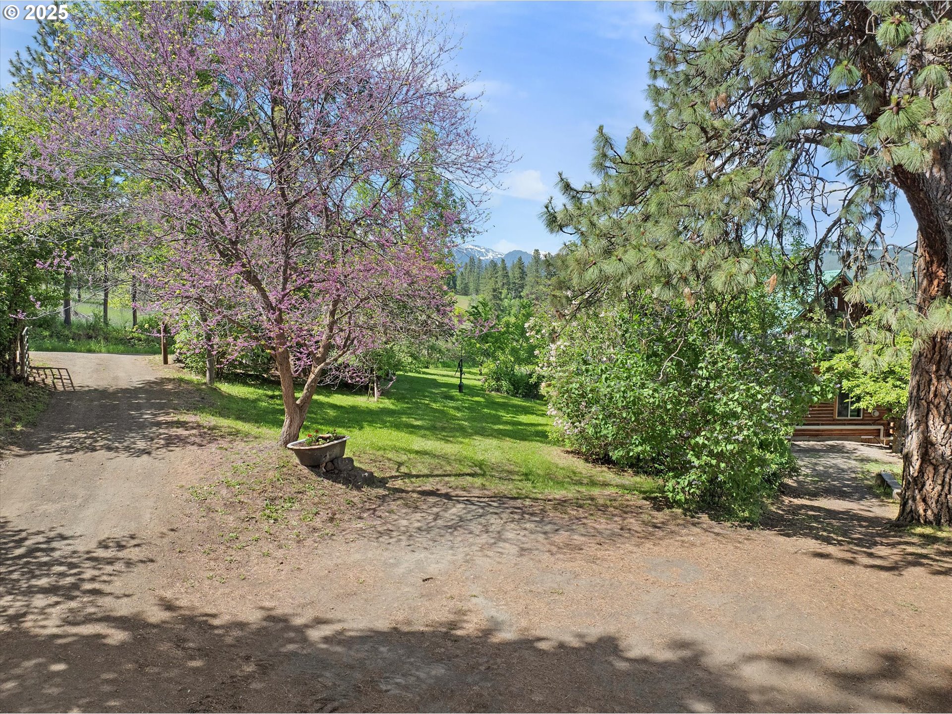 35912 Valley View Lane Halfway, OR 97834 - Photo 37 of 43 a view of a park with tree s