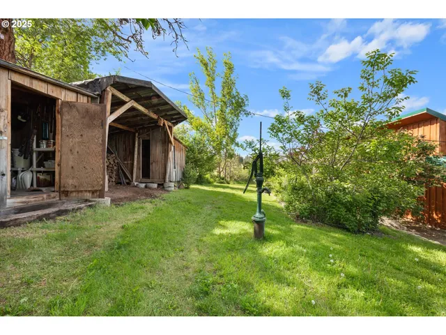 a view of a lush green forest with houses