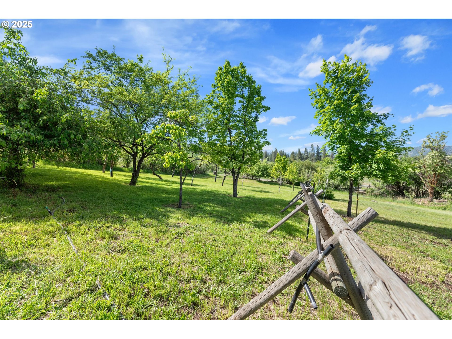 35912 Valley View Lane Halfway, OR 97834 - Photo 43 of 43 a view of yard with green space