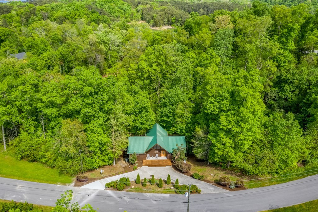 718 Pleasure Road Sevierville, TN 37876 - Photo 19 of 53 Gallery Image 19