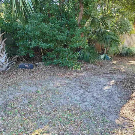 a view of a yard with a tree