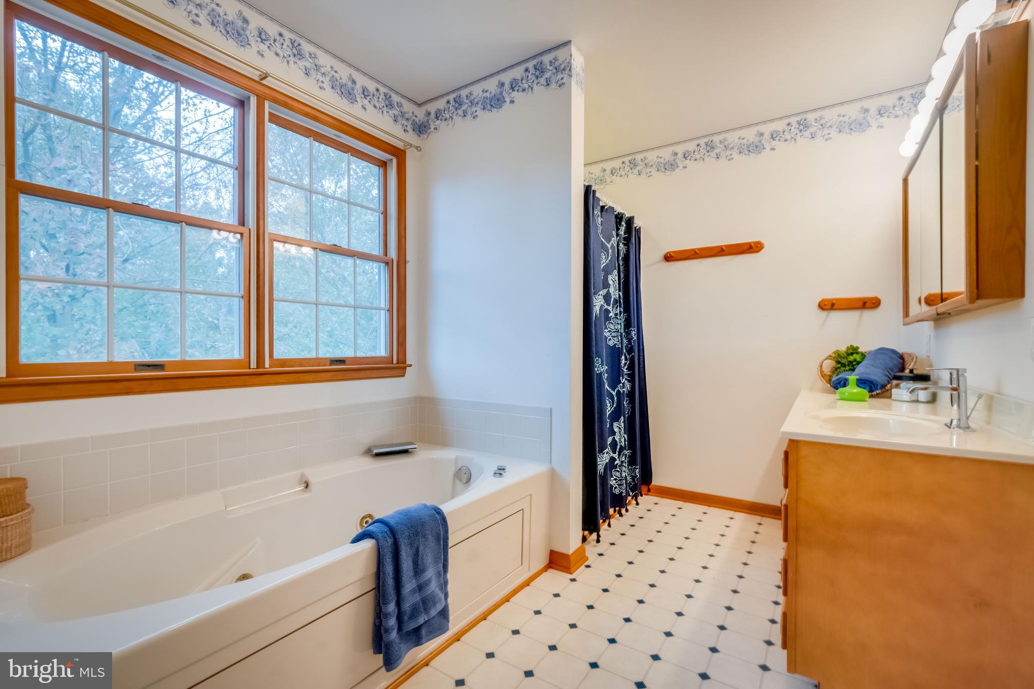 69 Coachman Drive Rising Sun, MD 21911 - Photo 23 of 43 Double windows, jetted tub, stall shower