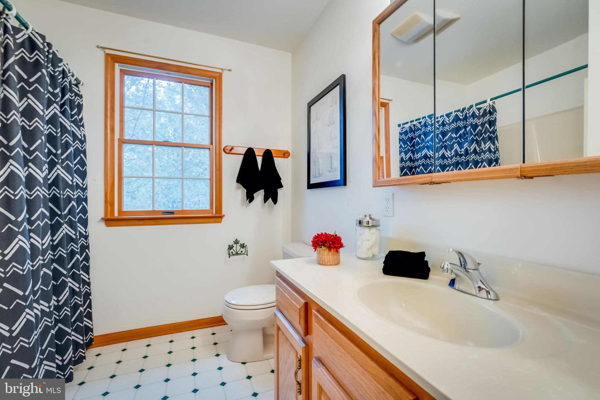 69 Coachman Drive Rising Sun, MD 21911 - Photo 30 of 43 Light filled hall bath