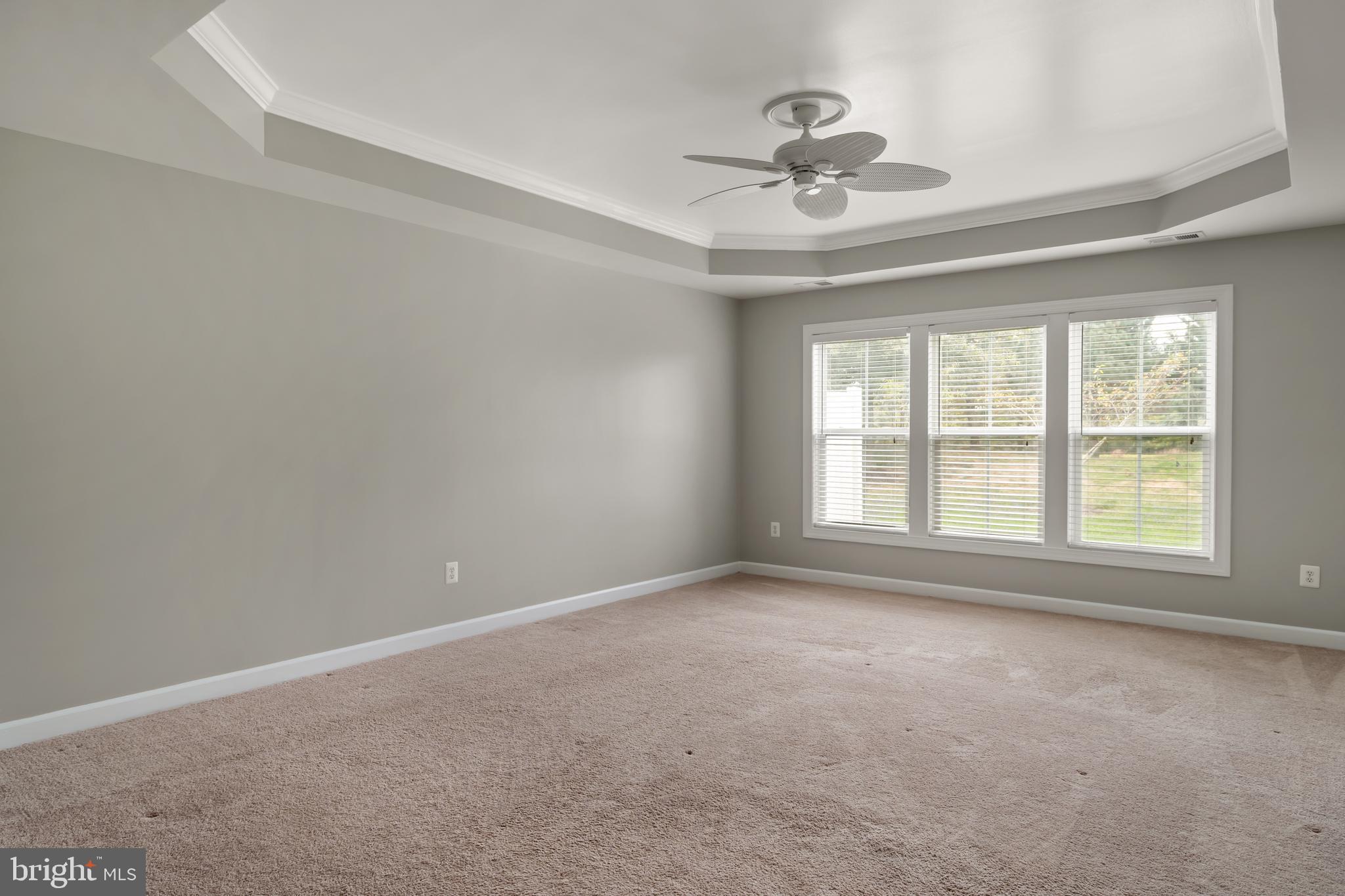 30965 Starling Road, Unit 106D Ocean View, DE 19970 - Photo 17 of 56 Master Bedroom with Tray ceiling