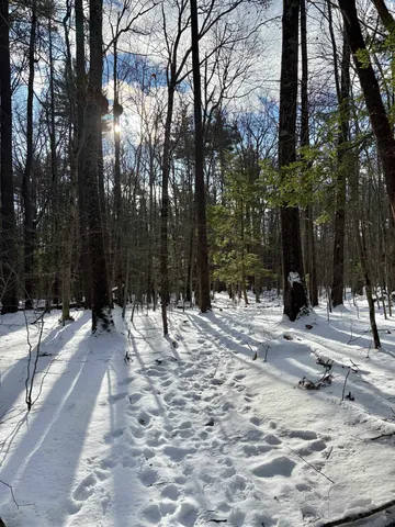 $199,000 | Lot 80-1 Currier Road, Candia, NH 03034