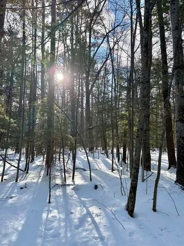 $199,000 | Lot 80-1 Currier Road, Candia, NH 03034