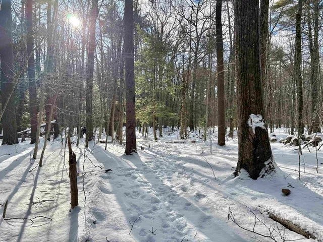 $199,000 | Lot 80-1 Currier Road, Candia, NH 03034