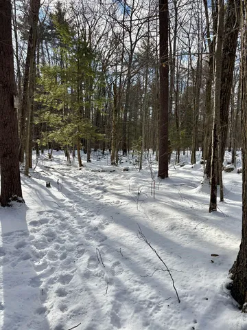 $199,000 | Lot 80-1 Currier Road, Candia, NH 03034