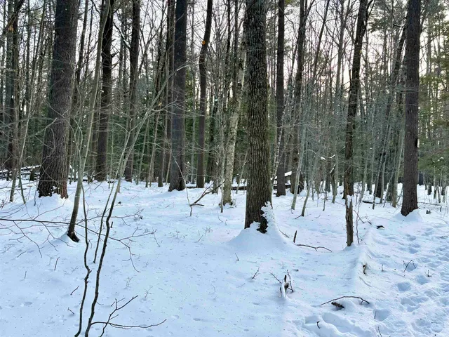 $199,000 | Lot 80-1 Currier Road, Candia, NH 03034