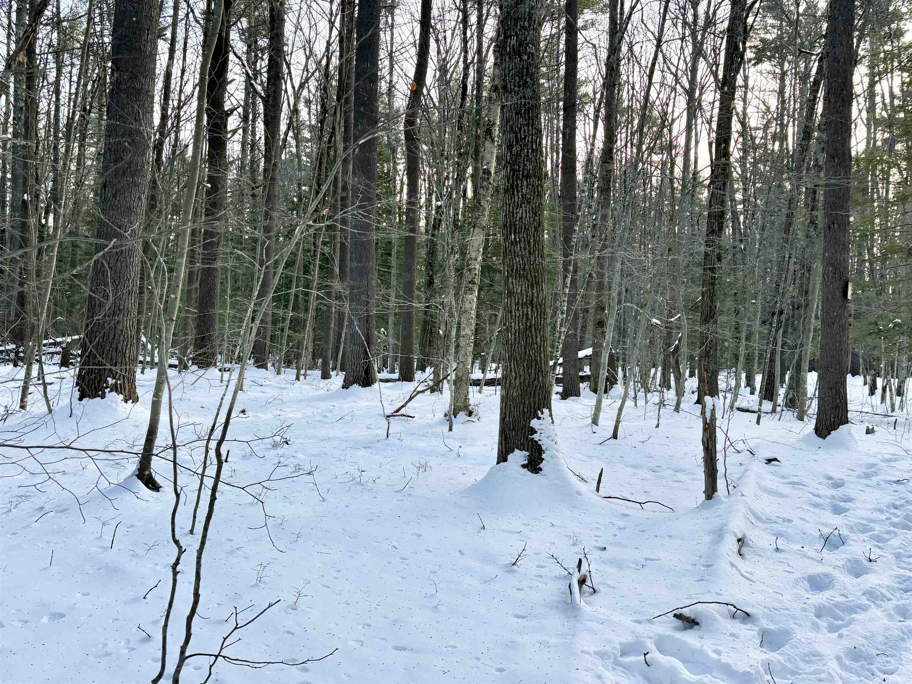 Lot 80-1 Currier Road Candia, NH 03034 - Photo 2 of 8