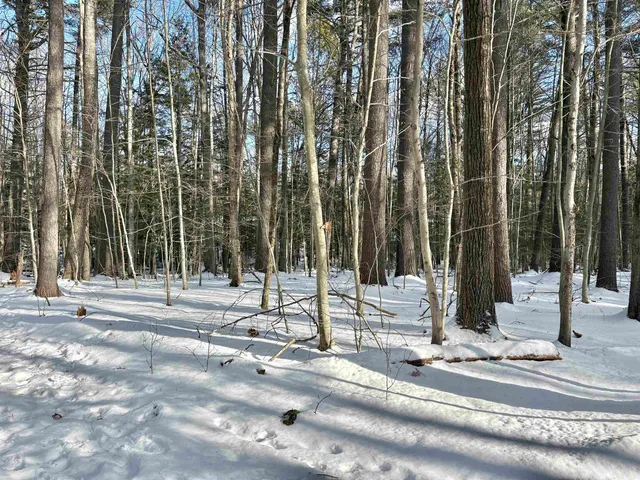 $199,000 | Lot 80-1 Currier Road, Candia, NH 03034