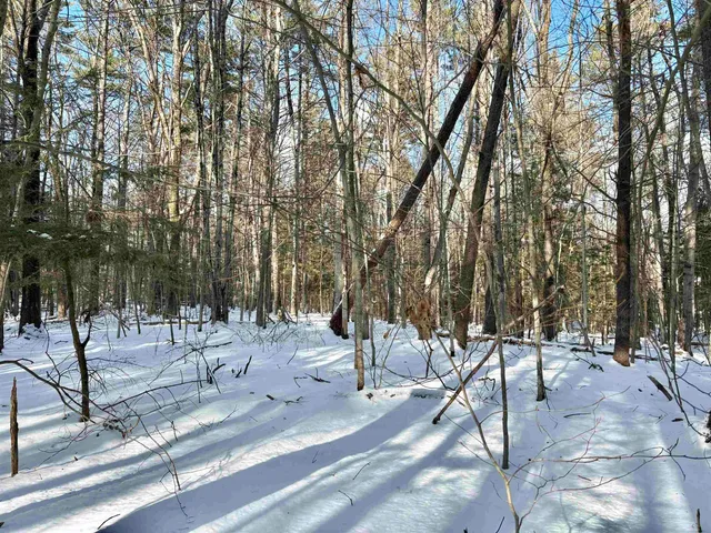 $199,000 | Lot 80-1 Currier Road, Candia, NH 03034