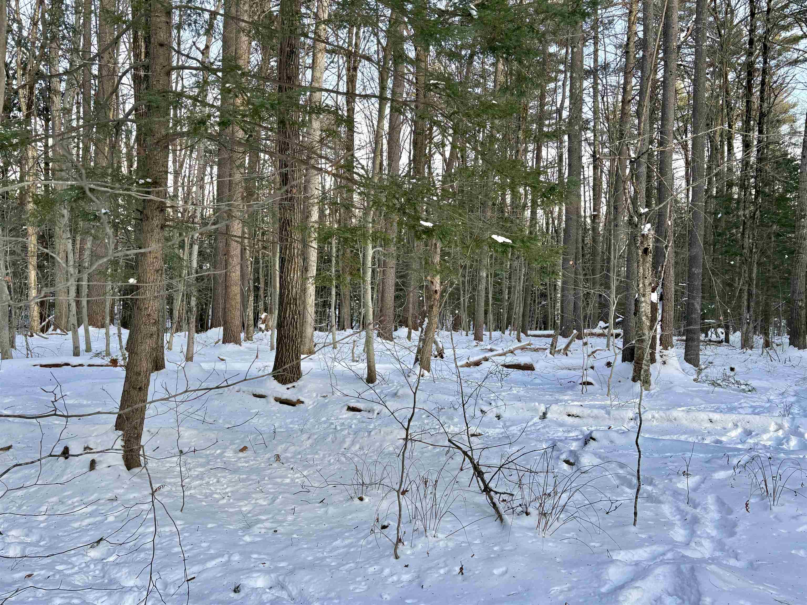 Lot 80-1 Currier Road Candia, NH 03034 - Photo 4 of 8