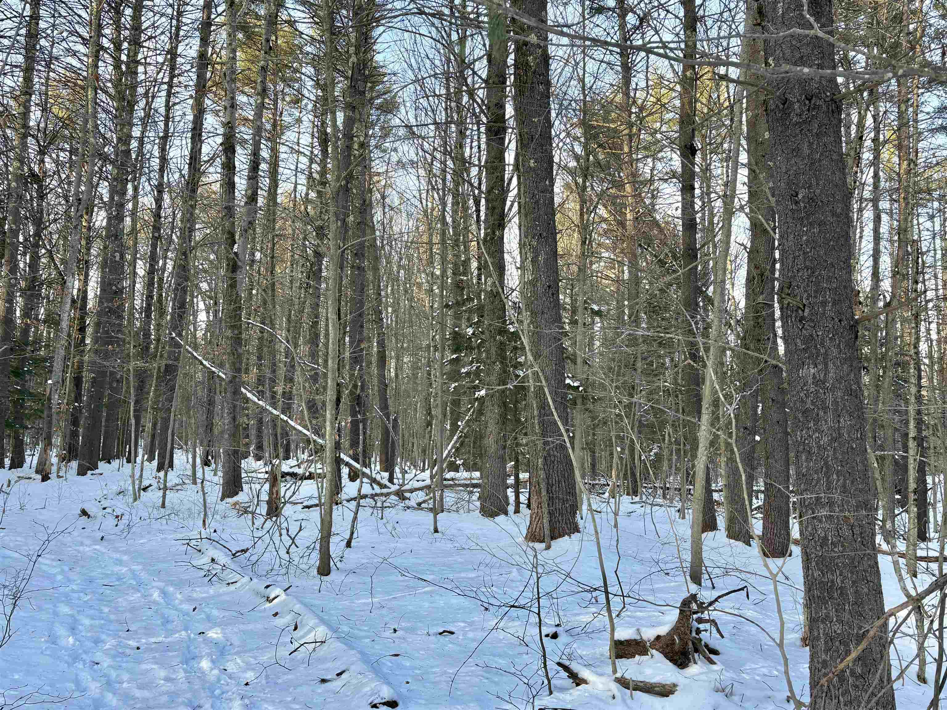 Lot 80-1 Currier Road Candia, NH 03034 - Photo 5 of 8