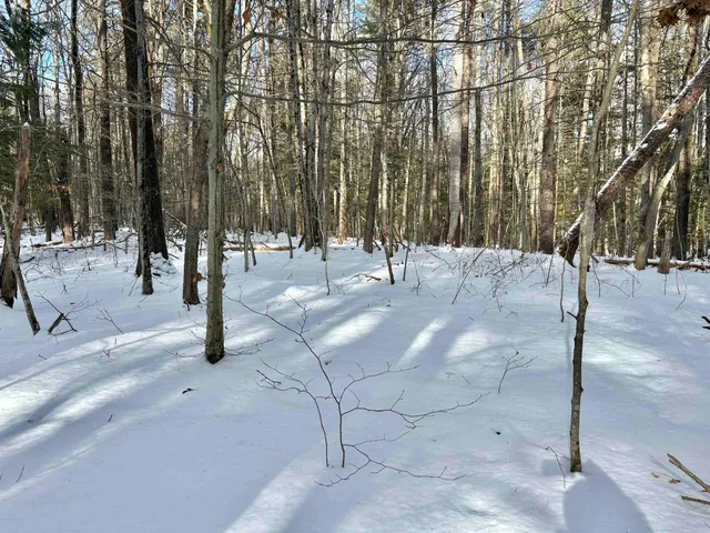 $199,000 | Lot 80-1 Currier Road, Candia, NH 03034