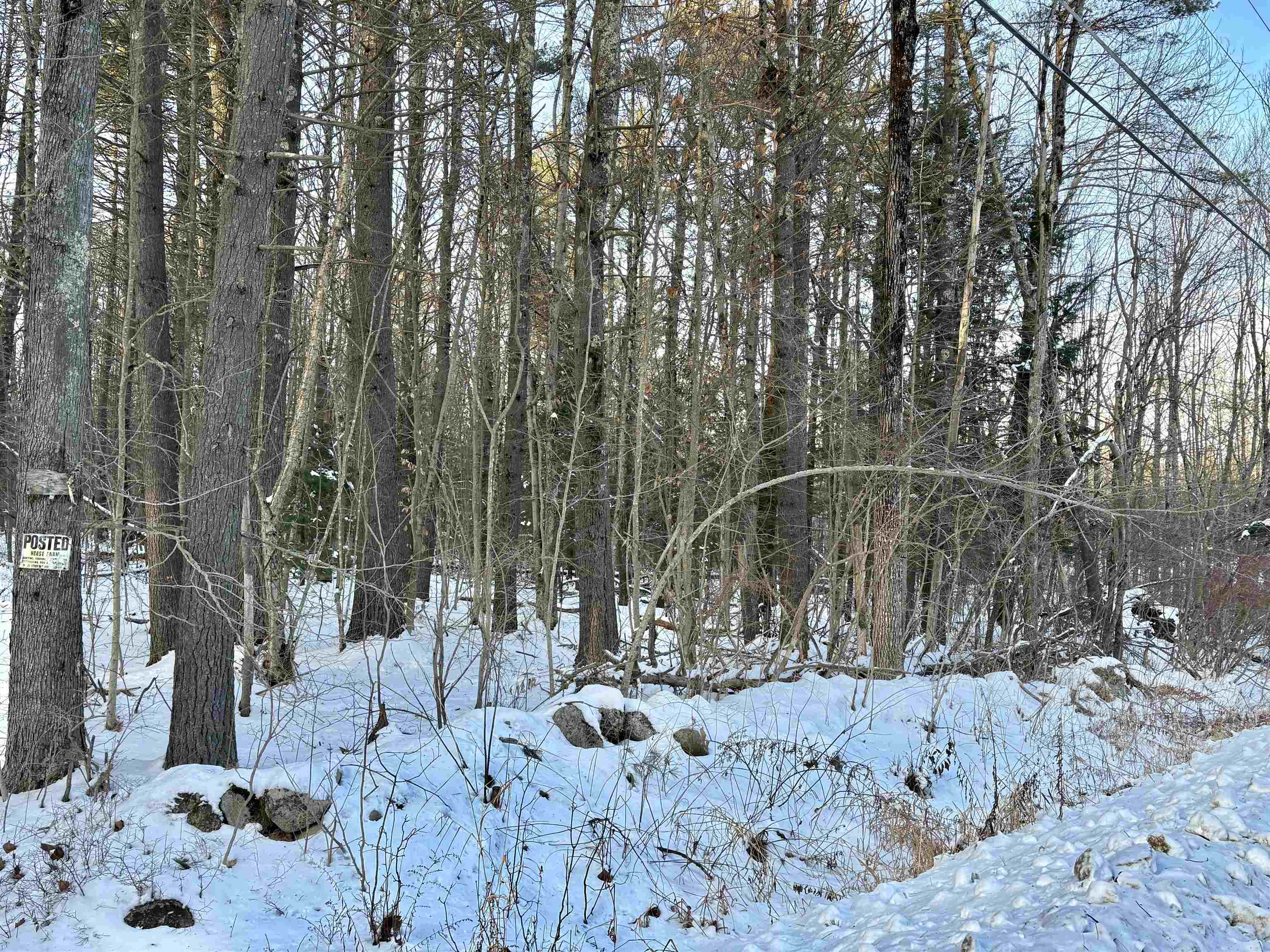 Lot 80-1 Currier Road Candia, NH 03034 - Photo 6 of 8