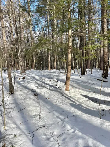$199,000 | Lot 80-1 Currier Road, Candia, NH 03034