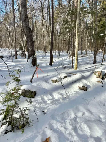 $199,000 | Lot 80-1 Currier Road, Candia, NH 03034