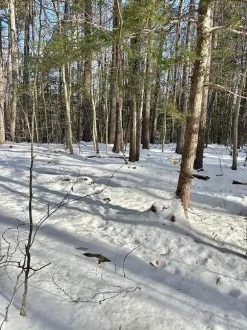 $199,000 | Lot 80-1 Currier Road, Candia, NH 03034