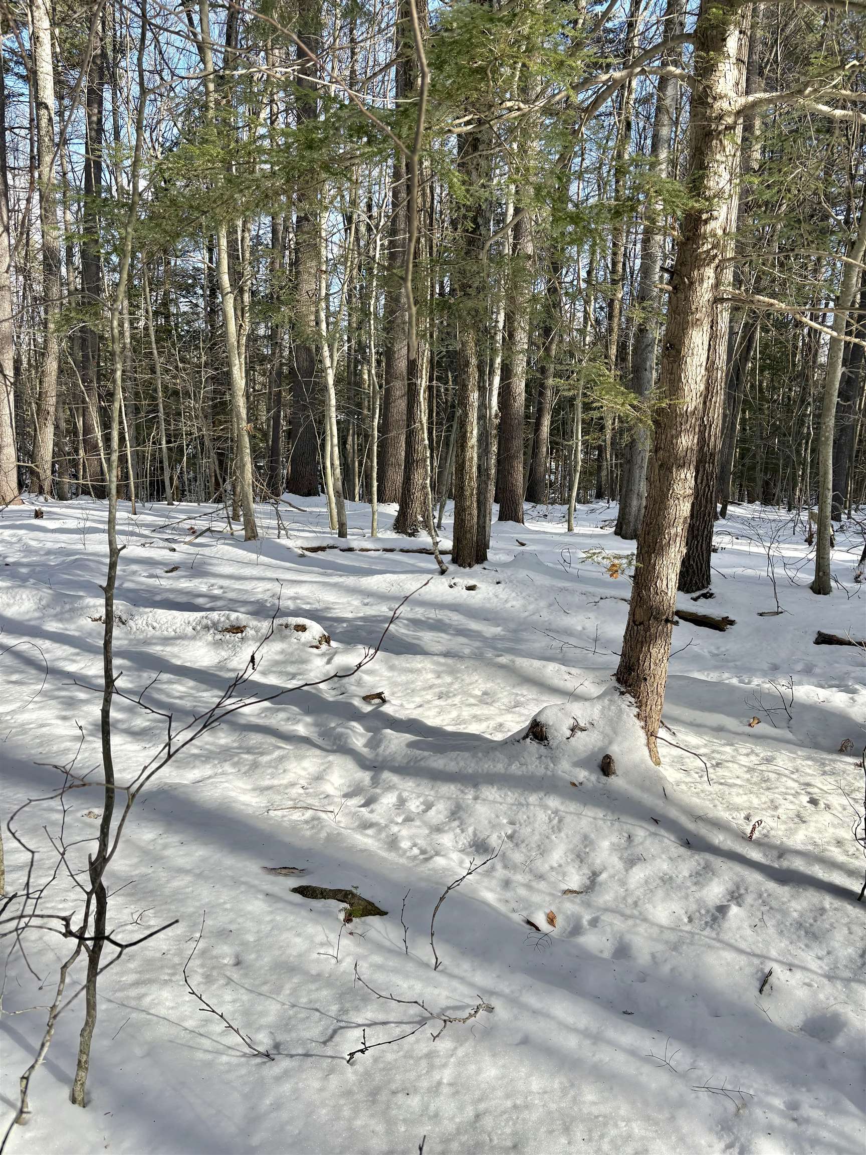 Lot 80-1 Currier Road Candia, NH 03034 - Photo 8 of 23 Gallery Image 8