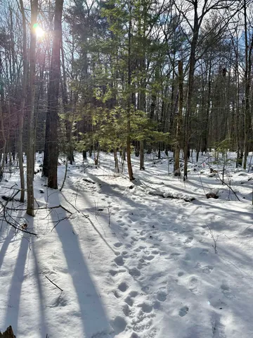 $199,000 | Lot 80-1 Currier Road, Candia, NH 03034