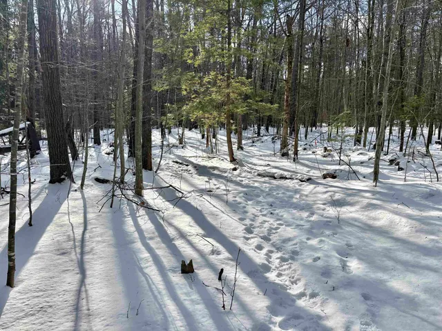 $199,000 | Lot 80-1 Currier Road, Candia, NH 03034