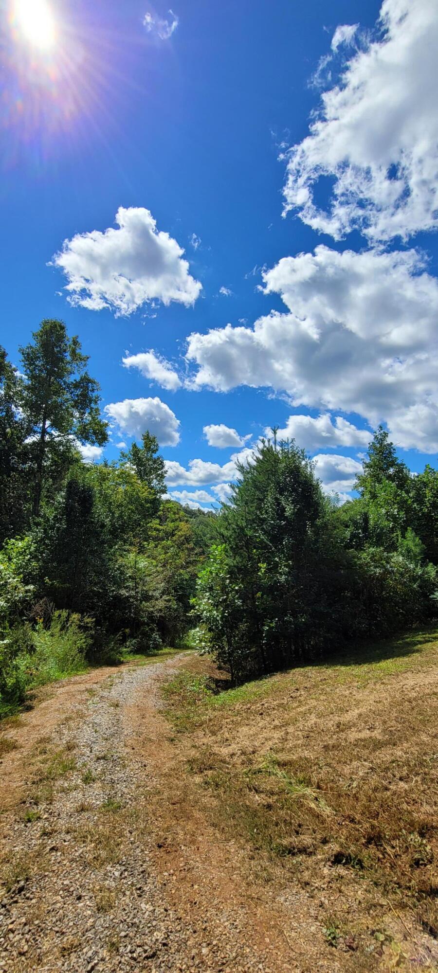 600 Miller Road Vonore, TN 37885 - Photo 6 of 20 600 Miller Rd Driveway